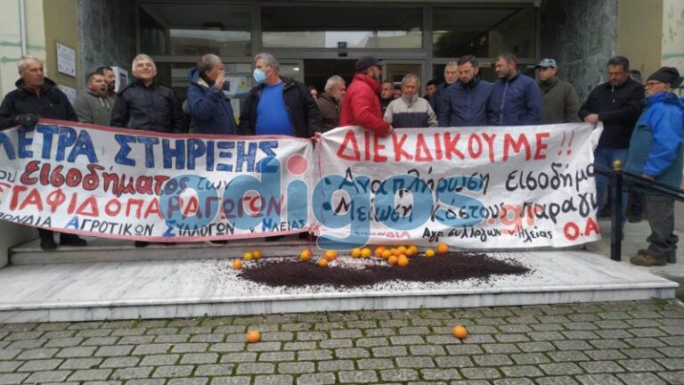 Συγκέντρωση Ομοσπονδίας Αγροτικών Συλλόγων Ηλείας σήμερα στην ΠΕ Ηλείας:  Άμεση καταγραφή και αποζημίωση των καταστροφών εδώ και τώρα.