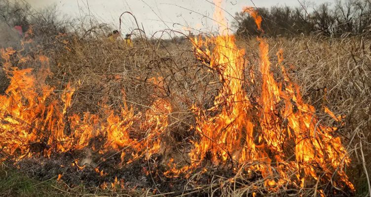 Δήμος Πύργου: Οδηγίες σε όλες τις Τοπικές Κοινότητας  για καθαρισμό οικοπέδων  καθ’ όλη τη διάρκεια της αντιπυρικής περιόδου