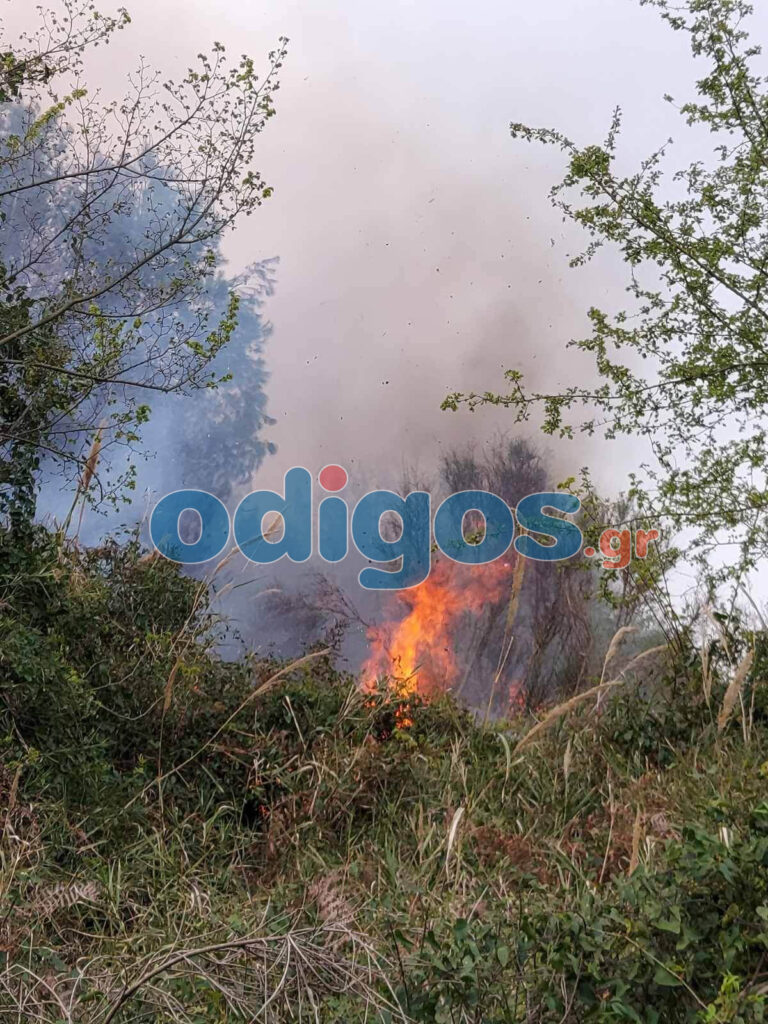 Δασική πυρκαγιά σε Αγία Άννα και  Γούμερο