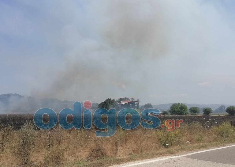 Πυρκαγιά σε εξέλιξη στο Κορακοχώρι