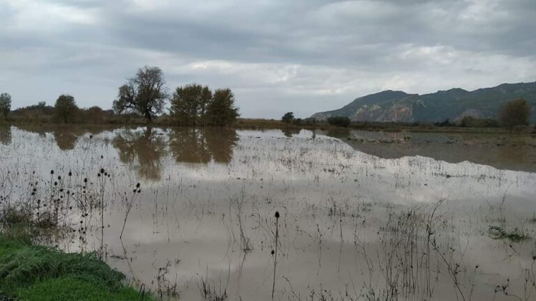 ΑΝΤΙΠΛΗΜΜΥΡΙΚΗ ΠΡΟΣΤΑΣΙΑ: O σεβασμός στη φύση μας συμφέρει!