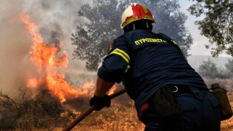 Ανδραβίδα: Η πρώτη σύλληψη για εμπρησμό