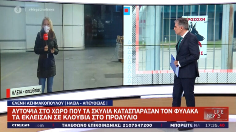 Λεχαινά: Τι λέει ο ιδιοκτήτης του συσκευαστηρίου για το θάνατο του 56χρονου Χρήστου Βασιλόπουλου