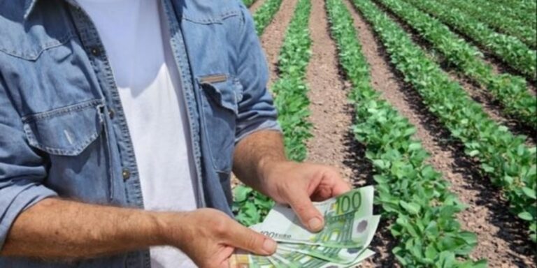 Ενισχύσεις ύψους 2,1 εκατ. ευρώ από τον ΕΛ.Γ.Α. Συμαντικό ποσό πάει στην Ηλεία