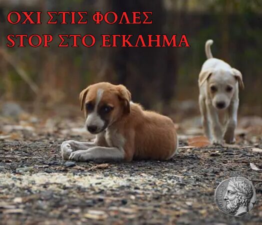 Δήμος Αρχαίας Ολυμπίας: Η θανάτωση ζώων είναι καταδικαστέα και εγκληματική πράξη.