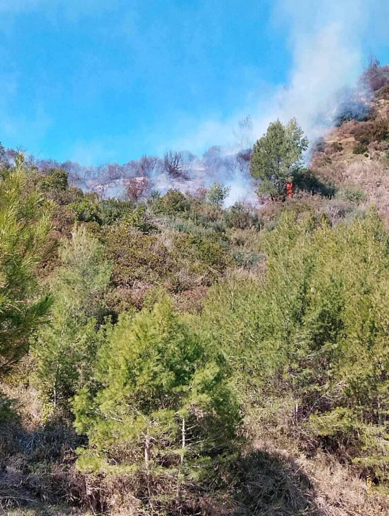 Ηλεία: Σύλληψη για πυρκαγιά στην Δαφνιώτισσα
