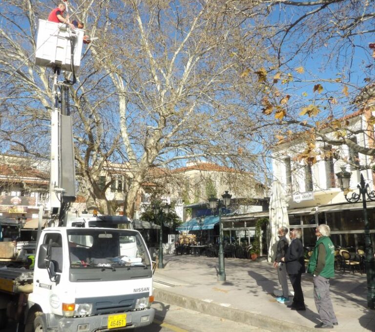 Κλάδεμα των  καλαίσθητων πλατανιών έγινε στην κεντρική πλατεία Κρεστένων