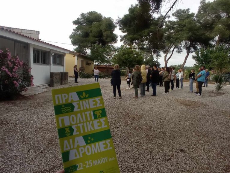 Πραγματοποιήθηκε με επιτυχία η θεματική περιήγηση “Ήλιδα: η τελευταία περίοδος κατοίκησης της πρωτεύουσας πόλης των Ηλείων.” στον αρχαιολογικό χώρο Ήλιδας